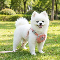 Small Dog Leash and Cute Dog Harness, Coiled Non-Retractable Puppy Leash, Cute Cat Harness and Cat Walking Harness for Pets