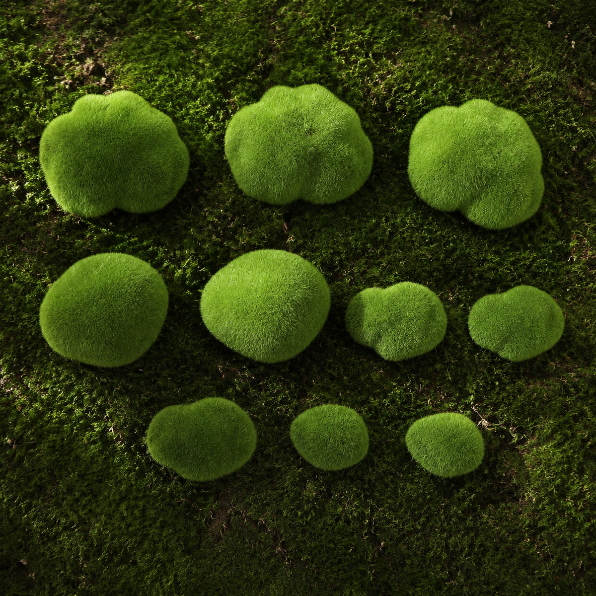 decorative moss rocks