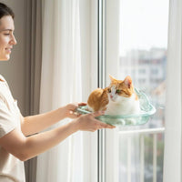 Cat Sunbathing Shelf Traceless Removal Window Mounted Cat Bed Soft Shape Pet Supplies for Balcony
