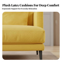 Minimalist Design Metal Frame Sofa Nordic aesthetic Living Room Seating Removable upholstery Couch utilitarian Look for Apartment Dwellers, Homeowners, Interior Decorators, Small Spaces, Office Lounge, Reception Area, Entryway