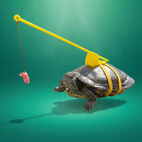 Turtle Leash Harness case-Mounted Turtle Training Tool Hanging Lure Tortoise Harness Leash