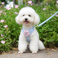 Cat Vest Harness with Leash Set, Breathable Vest Style Suitable for Cats, Adjustable Strap for Cat Walking Harness