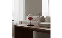 Glass Showcase Dome with Base Transparent Glass Cloche with Base Modern Design Bell Jar Display Case for Collectors, Hobbyists, Wedding, Office, Study
