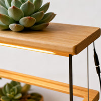 Wooden Succulent Plant Stand with Full Spectrum Grow Light for Indoor Desktop Display
