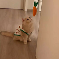Small Dog Vest and Cat Vest Tank Top, Polyester Thin Pet Vest with Fruit Print, Anti-Shedding Dog Vest for Ragdoll and British Shorthair Cats