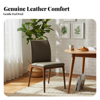 Upholstered Wooden Chair Modern Minimalist design Upholstered supportrest Chair Nordic look Indoor Seating for Families, Adults, Home, Kitchen, Study