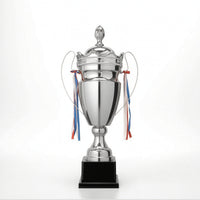 Lidded Award Trophy Decorative Metal Trophy with Handles Elegant for Students