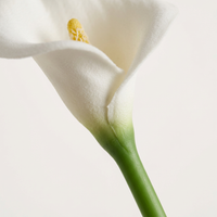 Artificial Decorator, Mini PU Flower Single Stem, Bridal Wedding Craft Projects, Party Styling, Realistic Embossed Texture
