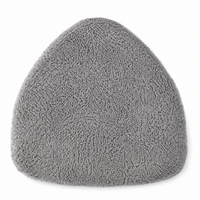 car window cleaning brush
