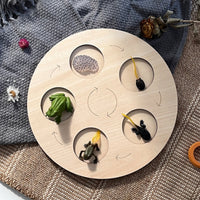 Recessed Cycle Recognition Board Printed Arrows Educational Matching Game Board Round Life Cycle Matching Game Set Natural Wood