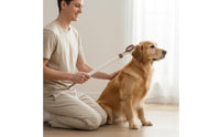 Multi-Functional Two-sidedHead Pet Grooming Tool Comfort Massage Retractable Pet Scratcher for Dog Owners