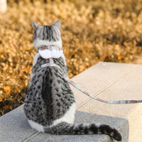 Cat Vest Harness and Leash Set, Adjustable Cat Walking Harness with Decorative Attachments, No Pull Outdoor Walking Gear for Small Pets