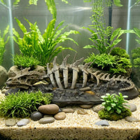 Resin Dragon Skeleton Ornament Sleek Dragon Bone Aquarium Decor Textured Skeleton Aquarium Ornament Long