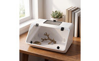 Clear-Front Reptile Enclosure Transparent Reptile Terrarium Tank Sturdy Slanted Terrarium Easy to Clean for Indoor