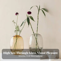 Minimalist Design Glass Flower Vase Elegant Design Oval Glass Vase Classic Shape for Home Decorators, Homeowners, Showroom, Tabletop, Office