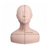 Realistic Skin Feel Acupressure Point Practice Model Soft Material Manikin Head Shoulder Bust Professional Grade for Students, Beauty School