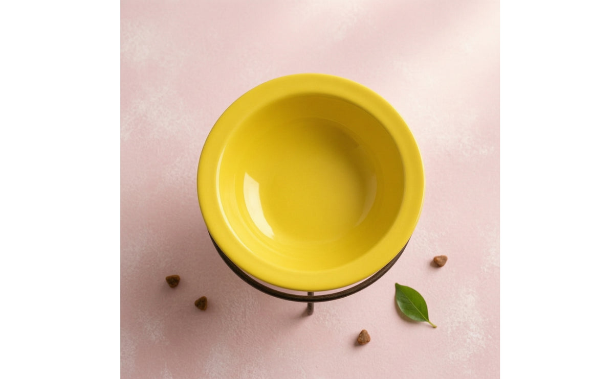 Ceramic Pet Bowl with Stand Detachable Design Elevated Cat Bowl Dishwasher Safe