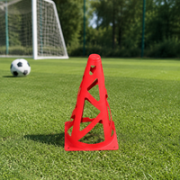 training cone