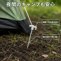 tent stake