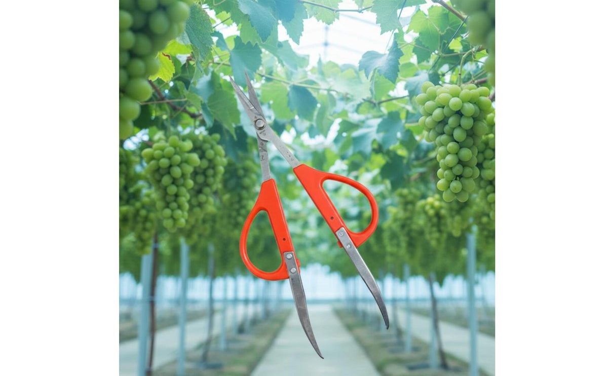 Fruit Thinning Shears Reduces Hand Strain Fruit Scissors with Clamp Tweezer Scissors Lightweight Design Garden Pruner