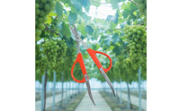 Fruit Thinning Shears Reduces Hand Strain Fruit Scissors with Clamp Tweezer Scissors Lightweight Design Garden Pruner