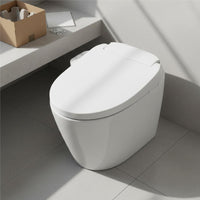 Instant Heating Heated Bidet Toilet Seat Female Wash Smart Toilet Seat Universal Fit Bathroom Fixture Adjustable Water Pressure