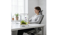 fishing Aquarium Transparent Desktop Aquatic Habitat Easy to Maintain Aquarium with Lid for Beginners, Office Workers