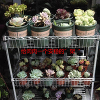多肉专用花架可移动花架绿植小推车多肉架子带滑轮置物架多功能