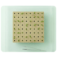 100 Pieces Soilless Starter Cubes Easy to Transplant Soilless Grow Plugs Sterile Plant Rooting Plugs for Hydroponics Enthusiasts, Vertical Farming