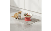 Elevated Strawberry Pet Bowl Anti-Tipping Ceramic Slow Feeder Raised Pattern Tilted Raised Pet Bowl for Cats, Dogs