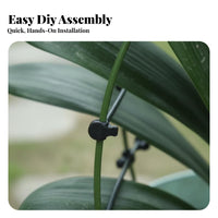 Promotes Symmetrical Growth Clivia foliage Alignment Tool Adjustable Design Plant guide Gardening Accessory for Gardeners, Balcony, Office, Home