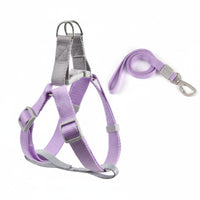 Pastel Colors Dog Harness and Leash Set Sturdy Vest Design Pet Harness Safety Buckle Creature Restraint Breathable for Small Dogs, Young Dogs, Cats, Walking, Outdoor, Training