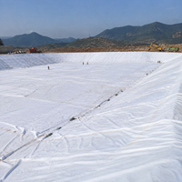 HDPE Geomembrane Sheet, Black, Penetration Prevention, Waterproof Sheet, For Reservoirs, Aquaculture Ponds, Artificial Lakes, Swimming Pools