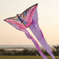 Long Tail Kite Beginner Friendly Vibrant Colors for Family Outings