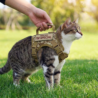 Cat Walking Harness and Leash Set, Vest Style Polyester Adjustable Secure Harness with Handle, Bungee Training Leash and Patches for Outdoor Pet