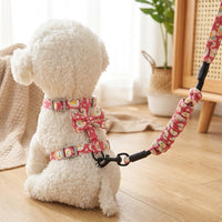 Cat Vest Harness and Leash Set, Adjustable Nylon Cat Walking Harness, No Pull Training Lead for Outdoor Travel