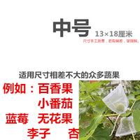 尼龙水果套袋果实防鸟虫专用网袋葡萄无花果石榴番茄草莓保护袋