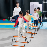 agility ladder