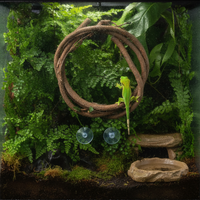 Reptizoo Terrarium Climbing Vine for Reptiles and Amphibians, Jungle Habitat Decor