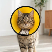 Post Surgery Cone for Pet Recovery, Transparent Anti-Mouth Guard with Padded Edge, Snap Button Recovery Cone for Dogs and Cats After Surgery