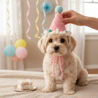 Pet Birthday Hat and Scarf Set for Small Dogs and Cats, Knitted Photo Prop