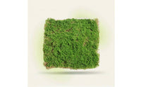 Artificial Moss Panel Natural-Looking Moss Mat Faux Grass Panel Dense Grass Wall Backdrop Textured for Event Planners