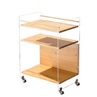 Transparent Design Multi-Tier Rolling Organizer Mobile with casters 2-Tier Clear Trolley Multifunctional Side Table Space-Saving for Homeowners, Office Workers, Living Room, Small Spaces, Bedroom, Bathroom