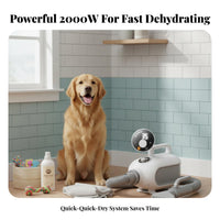 Adjustable Temperature Dog and Cat Hair Dryer Quick Dry High Velocity Pet Dryer Low Noise Design Pet Grooming Blower Smart LED Press Panel for Home Groomers