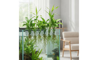 6 Pieces Aquarium Planter Clear Aquarium Plant Clip Hydroponic Support Clip with Screws Transparent for Aquarists, Aquariums