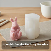 Bunny Plaster Ornament Cast Easter Bunny Cast Reusable for DIY Enthusiasts, Parents, Home Decoration, Gift Making