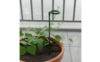3 Pieces Plant Support Hoop Anti-Tip Flower Support Stake Easy to Install for Indoor Potted Plants, Garden, Greenhouse
