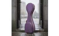 Pipa Case Portable Padded Pipa Bag Anti-Wear Feet Chinese Lute Bag for Storage