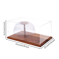 Baseball Cap Display Case Transparent Baseball Cap Display Box No Assembly Required for Collectors, Shelf