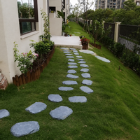 Natural Slate Garden Stone for Paths, Gray, 30x120 cm, Thickness 3-4 cm